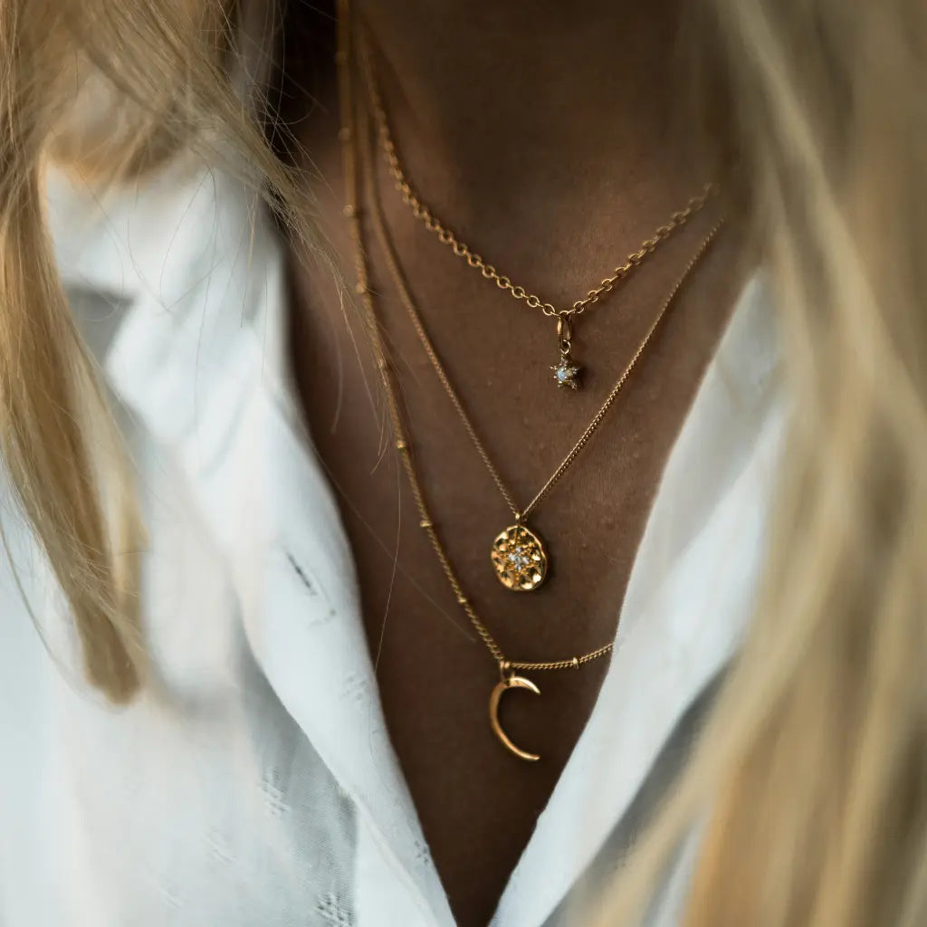 New In - Zoollery