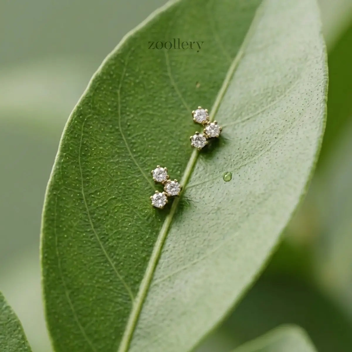 Starlight Trio Studs