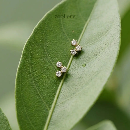 Starlight Trio Studs