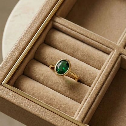 Subtle Polished Ring