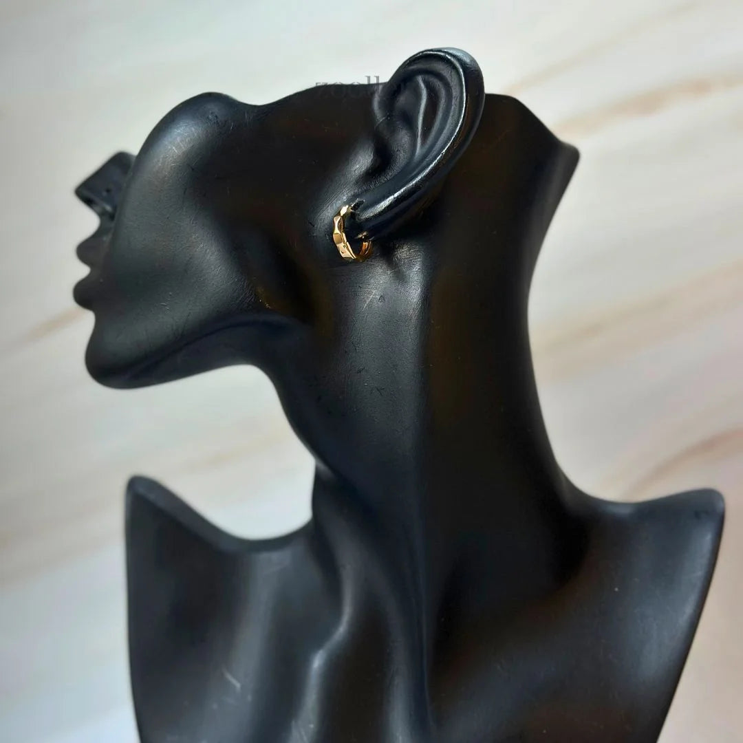 Facet Flair Earrings