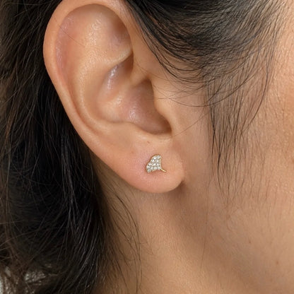 Ginkgo Studs